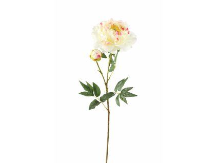 ChatGPT Image 20. 2. 2026, 17 30 06