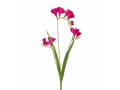 ChatGPT Image 24. 2. 2026, 15 57 25