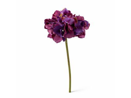 ChatGPT Image 24. 2. 2026, 17 05 19