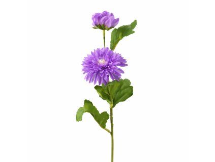 ChatGPT Image 23. 2. 2026, 22 11 54