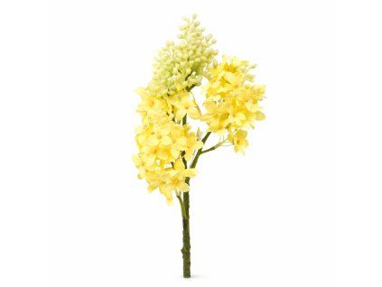 ChatGPT Image 20. 2. 2026, 13 03 59