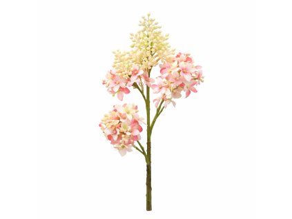 ChatGPT Image 20. 2. 2026, 13 07 41