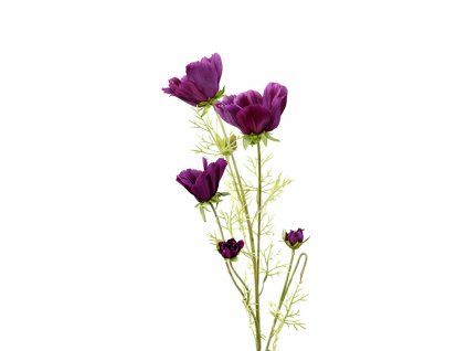 ChatGPT Image 24. 2. 2026, 15 41 21