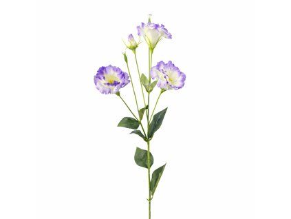 ChatGPT Image 20. 2. 2026, 18 29 53