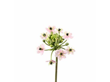 ChatGPT Image 18. 2. 2026, 21 51 47