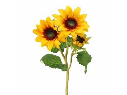 ChatGPT Image 25. 2. 2026, 14 33 56