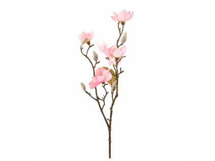 ChatGPT Image 18. 2. 2026, 21 34 42