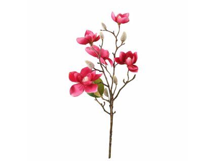 ChatGPT Image 18. 2. 2026, 21 30 35