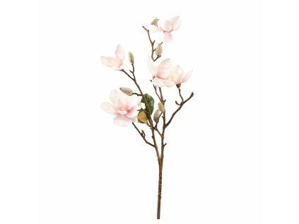 ChatGPT Image 18. 2. 2026, 21 31 29