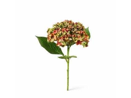 ChatGPT Image 21. 2. 2026, 12 09 46