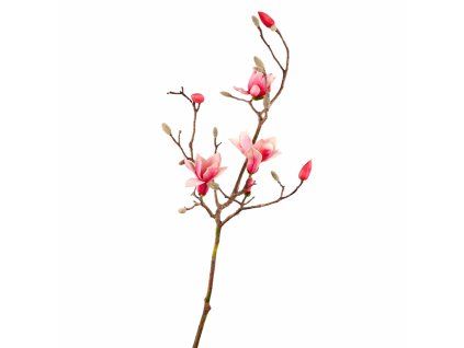 ChatGPT Image 18. 2. 2026, 22 07 42