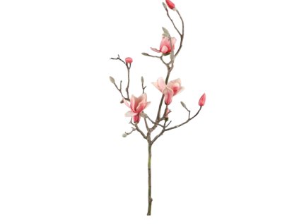 8773 1 8773 1 pixelcut export 18