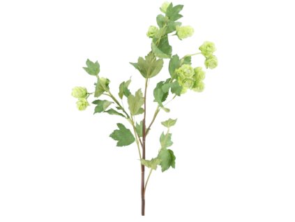 8986 1 8986 pixelcut export 34