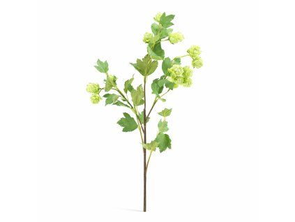 ChatGPT Image 23. 2. 2026, 15 36 35