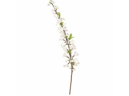 ChatGPT Image 18. 2. 2026, 20 45 50