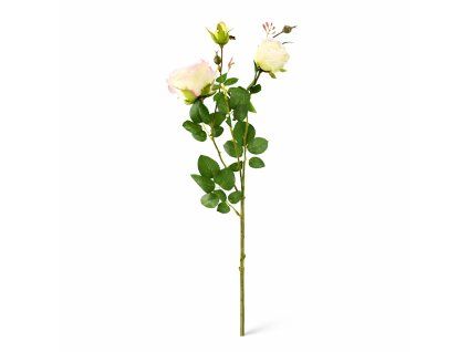 ChatGPT Image 21. 2. 2026, 11 57 37