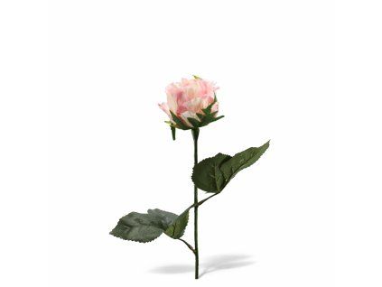 ChatGPT Image 21. 2. 2026, 11 11 59