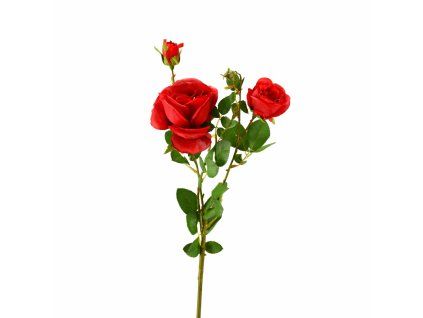 ChatGPT Image 21. 2. 2026, 11 50 54