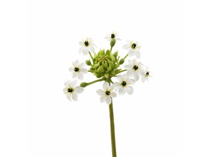 ChatGPT Image 18. 2. 2026, 21 56 17