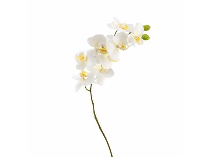 ChatGPT Image 19. 2. 2026, 20 00 24