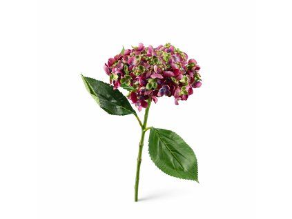 ChatGPT Image 21. 2. 2026, 12 14 30