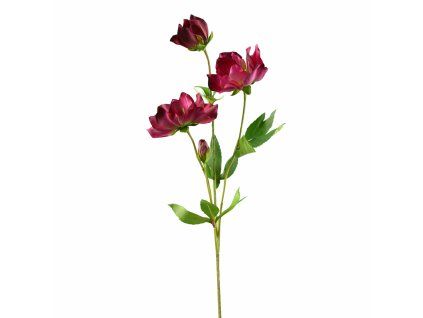 ChatGPT Image 23. 2. 2026, 22 22 11