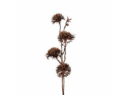 ChatGPT Image 26. 2. 2026, 09 18 07