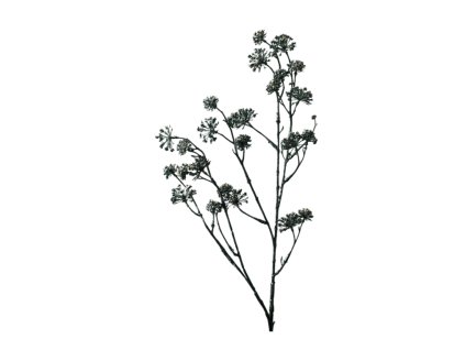 9250 1 9250 pixelcut export 4