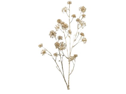 9253 1 9253 1 pixelcut export 15