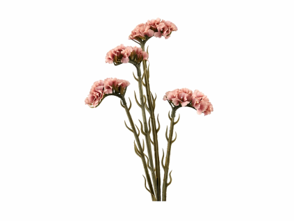 ChatGPT Image 21. 4. 2026, 13 22 17
