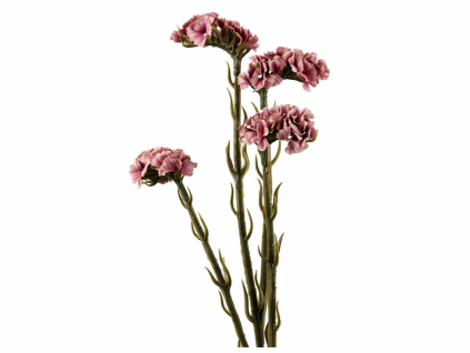 ChatGPT Image 21. 4. 2026, 13 24 23