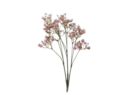 9286 1 9286 pixelcut export 24