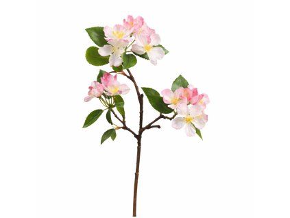 ChatGPT Image 18. 2. 2026, 20 53 45