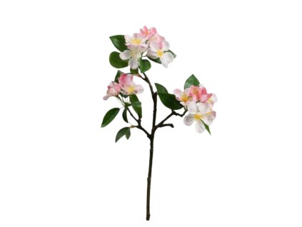 9295 1 9295 1 pixelcut export 20