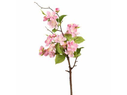 ChatGPT Image 18. 2. 2026, 21 00 30