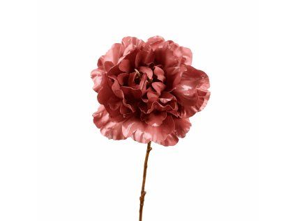 ChatGPT Image 21. 2. 2026, 15 33 55