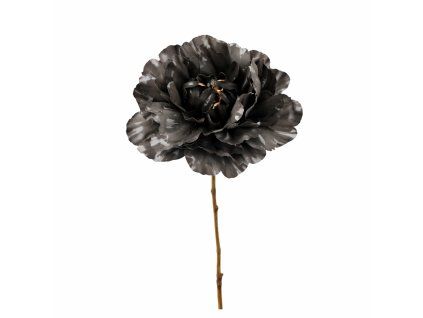 ChatGPT Image 21. 2. 2026, 15 35 05