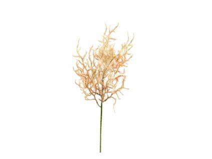 ChatGPT Image 21. 2. 2026, 16 23 43