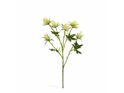 ChatGPT Image 21. 2. 2026, 16 35 37