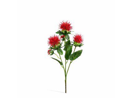 ChatGPT Image 21. 2. 2026, 16 43 25