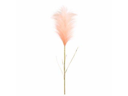 ChatGPT Image 19. 2. 2026, 19 27 46