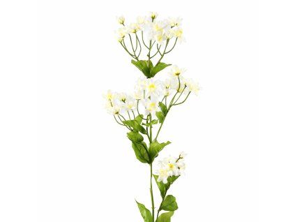 ChatGPT Image 26. 2. 2026, 12 06 21