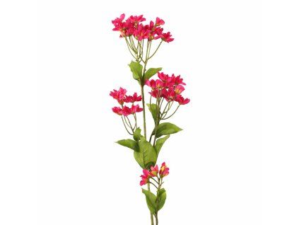 ChatGPT Image 24. 2. 2026, 18 05 42