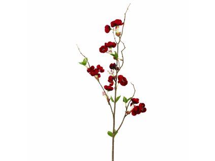 ChatGPT Image 24. 2. 2026, 18 14 18