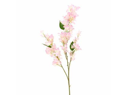 ChatGPT Image 24. 2. 2026, 18 31 30