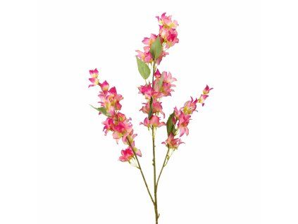 ChatGPT Image 24. 2. 2026, 19 27 31