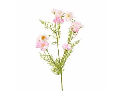 ChatGPT Image 24. 2. 2026, 15 42 04