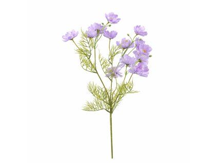 ChatGPT Image 24. 2. 2026, 15 40 45