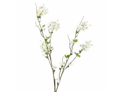 ChatGPT Image 24. 2. 2026, 18 10 44