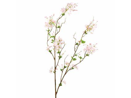 ChatGPT Image 24. 2. 2026, 18 13 13